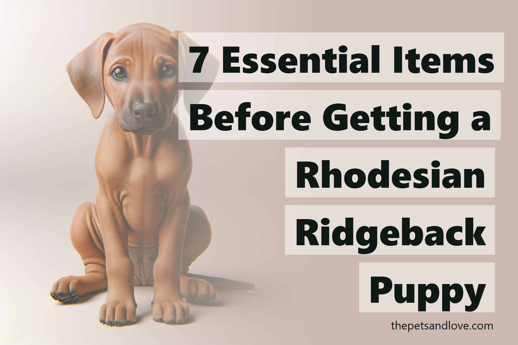 Rhodesian Ridgeback Items 7 Essential Items Before Getting a Rhodesian Ridgeback Puppy